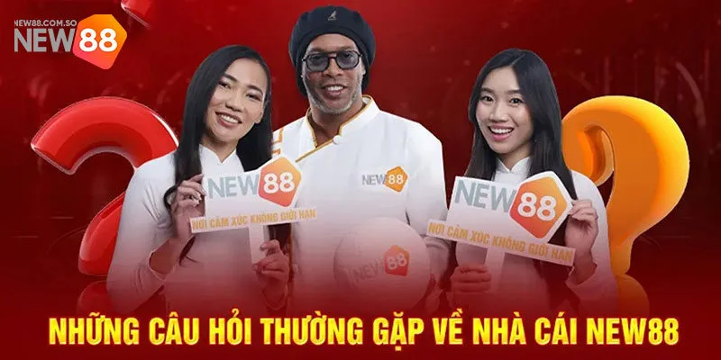 Câu hỏi về New88 về kỹ thuật hệ thống