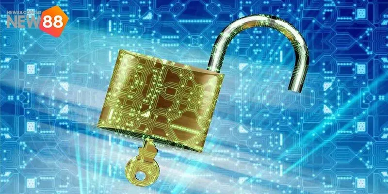 Trách nhiệm của người chơi với chính sách bảo mật New88
