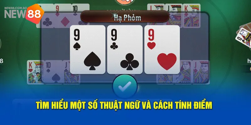 Luật chơi đánh bài Phỏm trực tuyến chuẩn cho tân binh