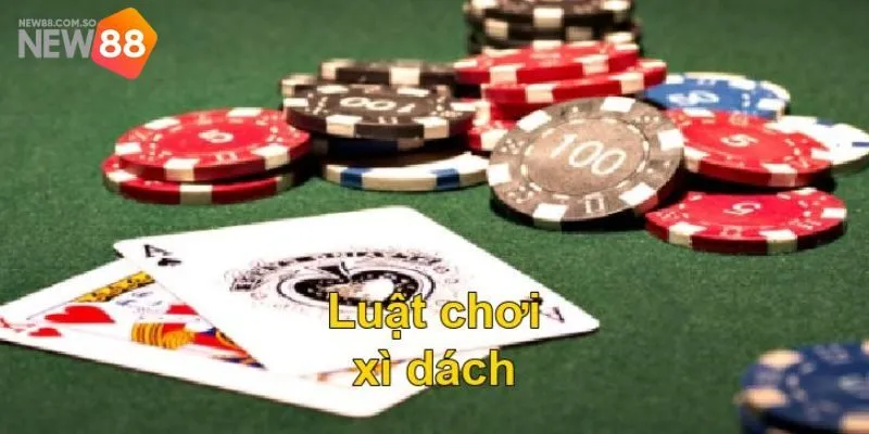 Kinh nghiệm chơi xì dách tại New88 giúp nâng cao cơ hội chiến thắng